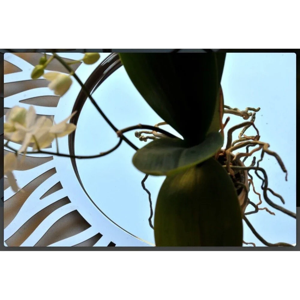 Marta Sansoni for Alessi - Tralcio Muto Round Tray in Stainless Steel